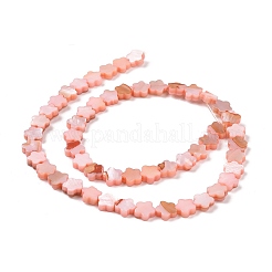 Natural Freshwater Shell Beads Strands&nbsp;SHEL-H002-03D