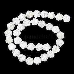 Natural Trochus Shell Beads Strands&nbsp;BSHE-E030-03