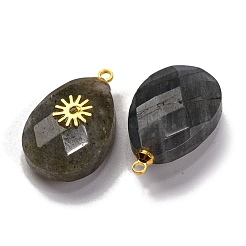 Natural Labradorite Pendants&nbsp;G-B089-01G-04