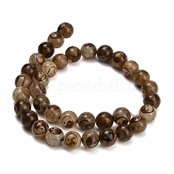 Tibetan Style dZi Beads Strands&nbsp;GG-CBA4812-B10-10MM