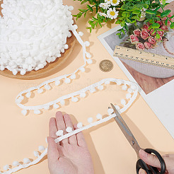 Polyester Pom Pom Ball Tassel Lace Ribbon&nbsp;DIY-WH0683-64