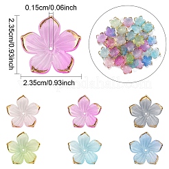 透明アクリルビーズキャップ120色6個  黄金の縁を持つ  花  ミックスカラー  23.5x1.5mm  穴：1.5mm  20個/カラー&nbsp;TACR-YW0002-44