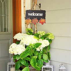 2Pcs 2 Color Wooden Doorplate Decorations&nbsp;AJEW-CF0001-10