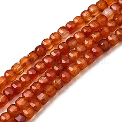 Natural Red Agate Beads Strands&nbsp;G-F797-A18-01