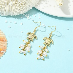 304 Stainless Steel Pendant Dangle Earrings&nbsp;EJEW-JE07232