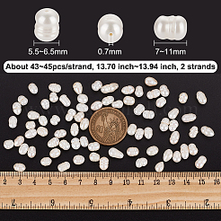 2連天然淡水養殖真珠ビーズ連  ライス  貝殻色  7~11x5.5~6.5mm  穴：0.7mm  約43~45個/連  13.70インチ〜13.94インチ（34.8~35.4cm）&nbsp;PEAR-NB0002-30