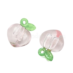 Transparent Acrylic Pendants&nbsp;AC-CBA97EB-05C