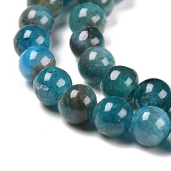 Natural Apatite Beads Strands&nbsp;X-G-D856-01-4mm