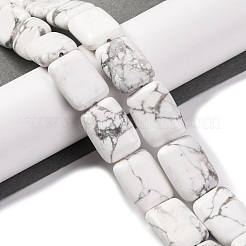 Natural Howlite Beads Strands&nbsp;G-T047-B28-20