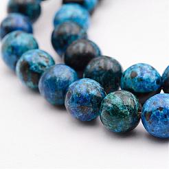 Natural Variscite Bead Strands&nbsp;G-P300-04-10mm