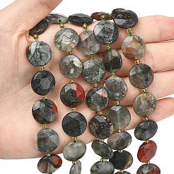 Natural Bloodstone Beads Strands&nbsp;G-A292-A09-01