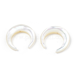 Natural White Shell Beads&nbsp;SSHEL-N034-122A-03
