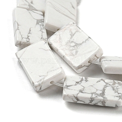 Natural Howlite Beads Strands&nbsp;G-M420-G09-01