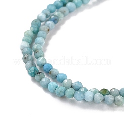 Natural Blue Opal Beads Strands&nbsp;G-K315-B05-A