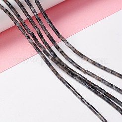 Natural Larvikite Beads Strands&nbsp;G-A201-B01