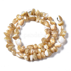 Natural Trochid Shell/Trochus Shell Beads Strands&nbsp;SSHEL-N034-78-B01