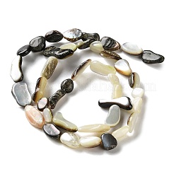 Natural Black Lip Shell Beads Strands&nbsp;SHEL-G020-04