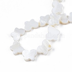 Natural Freshwater Shell Beads Strands&nbsp;SHEL-T009-A17-01