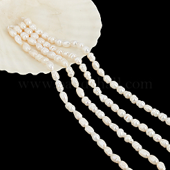 2連天然淡水養殖真珠ビーズ連  ライス  貝殻色  5~7x4~5mm  穴：0.6mm  約49~51個/連  13.58インチ（34.5cm）&nbsp;PEAR-NB0002-56