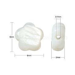 30Pcs Natural Freshwater Shell Beads&nbsp;SHEL-CJ0001-29
