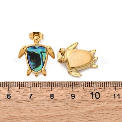 304ステンレススチール天然パウア貝スタッドピアス  カメ  イオンプレーティング（ip）  18KGP本金メッキ  19.5x17mm&nbsp;EJEW-Z103-05G-01