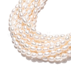 Natural Cultured Freshwater Pearl Beads Strands&nbsp;PEAR-N024-03-4AB
