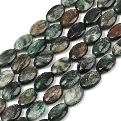 天然の緑柱石ビーズ連売り  フラットオーバル  12~12.5x8~8.5x4~5mm  穴：0.8mm  約33個/連  15.94''（40.5センチメートル）&nbsp;G-S396-01A-8x12