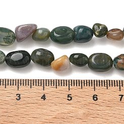 Natural Indian Agate Beads Strands&nbsp;G-C286-A12