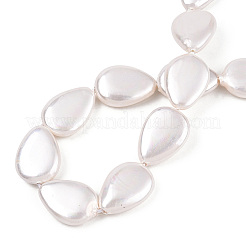 Electroplate Natural Freshwater Shell Beads Strands&nbsp;SHEL-R049-026A