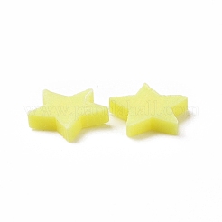 Handmade Polymer Clay Cabochons&nbsp;CLAY-A002-01E