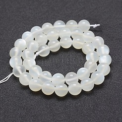 Natural White Moonstone Beads Strands&nbsp;G-J373-13-10mm