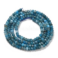 天然石アパタイトビーズ連売り  多面カット  ロンデル  3x2mm  穴：0.8mm  約190個/連  15.55''（39.5センチメートル）&nbsp;G-G155-A01-01