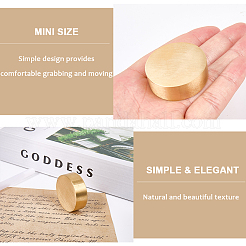 Brass Paper Weight&nbsp;DJEW-WH20009-04G