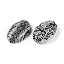 Natural Map Stone Cabochons&nbsp;G-T144-75