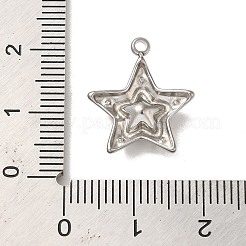 304 Stainless Steel Pendants&nbsp;STAS-L022-250