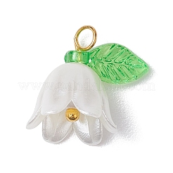 20Pcs Opaque Acrylic Pendants&nbsp;PALLOY-JF02870