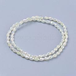 Electroplate Glass Beads Strands&nbsp;EGLA-J013-4X6mm-F03