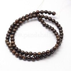 Natural Bronzite Round Bead Strands&nbsp;G-P128-68-4mm