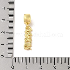 Rack Plating Brass European Dangle Charms&nbsp;KK-S380-17G