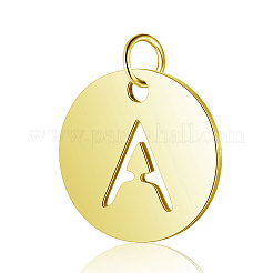 304 Stainless Steel Charms&nbsp;STAS-X0017-23G