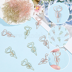 60Pcs 2 Colors Iron Paperclips&nbsp;OFST-SP0001-06
