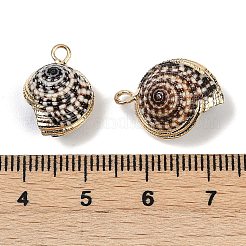 Electroplated Natural Spiral Shell Pendants&nbsp;SHEL-K006-41G