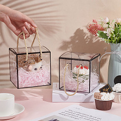 透明なペット用プラスチックギフトボックス  ポリエステルコード付き  正方形  ブラック  完成品：12x12x12cm  約3個/セット&nbsp;OBOX-WH0016-05B
