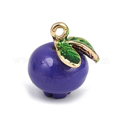 Fruit Alloy Enamel Charms&nbsp;ENAM-P264-02B-G
