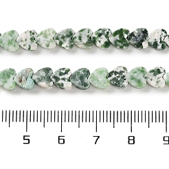 Natural Green Spot Jasper Beads Strands&nbsp;G-M403-A22-02