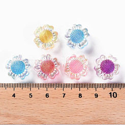 Transparent Acrylic Beads&nbsp;TACR-S152-10B