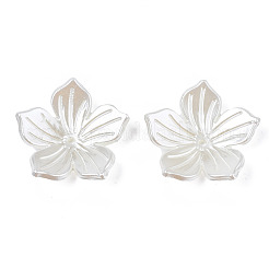 ABS Plastic Imitation Pearl Beads&nbsp;OACR-N012-001
