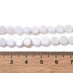 Natural Freshwater Shell Coin Beads Strands&nbsp;SH-CBACA76-17D