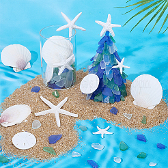 Resin Marine Organism Display Decorations&nbsp;AJEW-PH0008-27