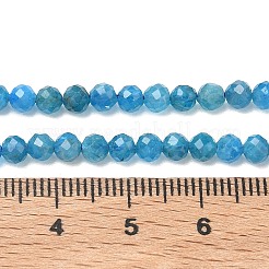 Natural Apatite Beads Strands&nbsp;G-Z160-A01-4mm